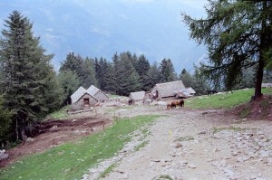 Alpeggio in Valle Anzasca